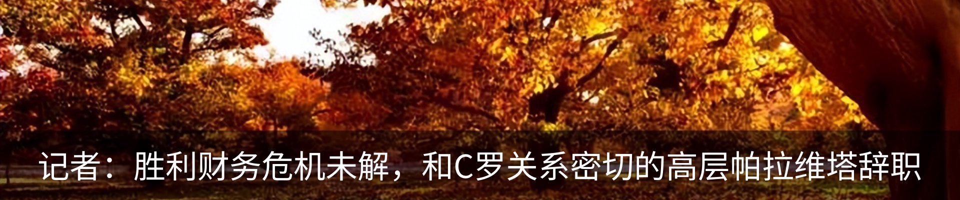 行业资讯